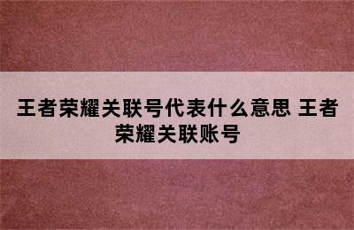 王者荣耀关联号代表什么意思 王者荣耀关联账号